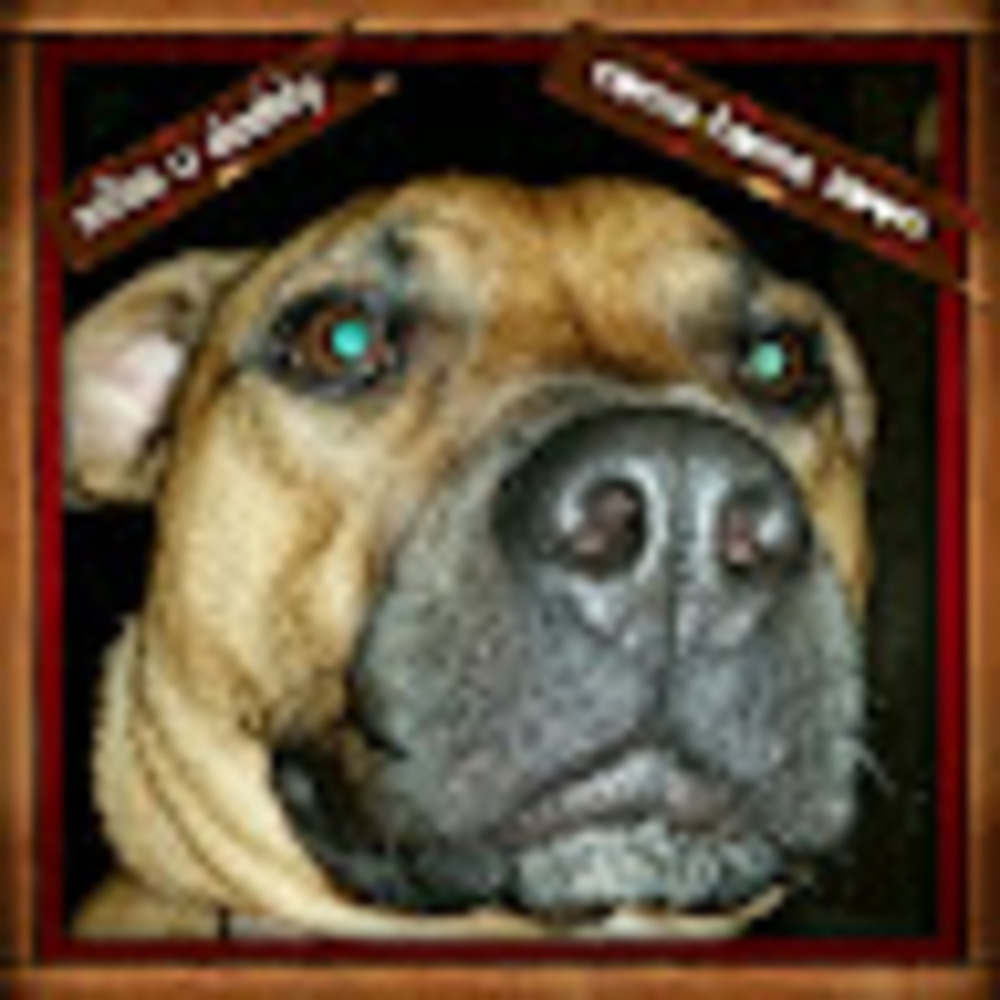 Meet your Posher, Paul